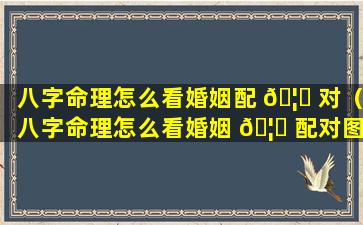 八字命理怎么看婚姻配 🦟 对（八字命理怎么看婚姻 🦟 配对图解）